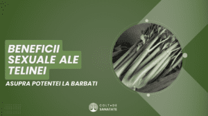 Beneficiile Sexuale ale Țelinei asupra Potenței la Bărbați