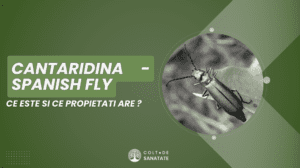 Cantaridina (Spanish Fly): Ce este și ce propietăți are