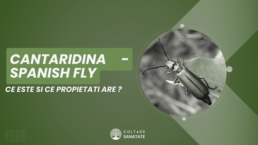 Cantaridina (Spanish Fly): Ce este și ce propietăți are
