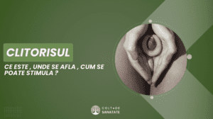 Clitorisul: Ce este, Anatomie & Unde se află