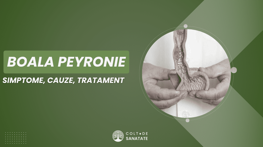 Boala Peyronie (Curbura Penisului): Cauze & Tratament